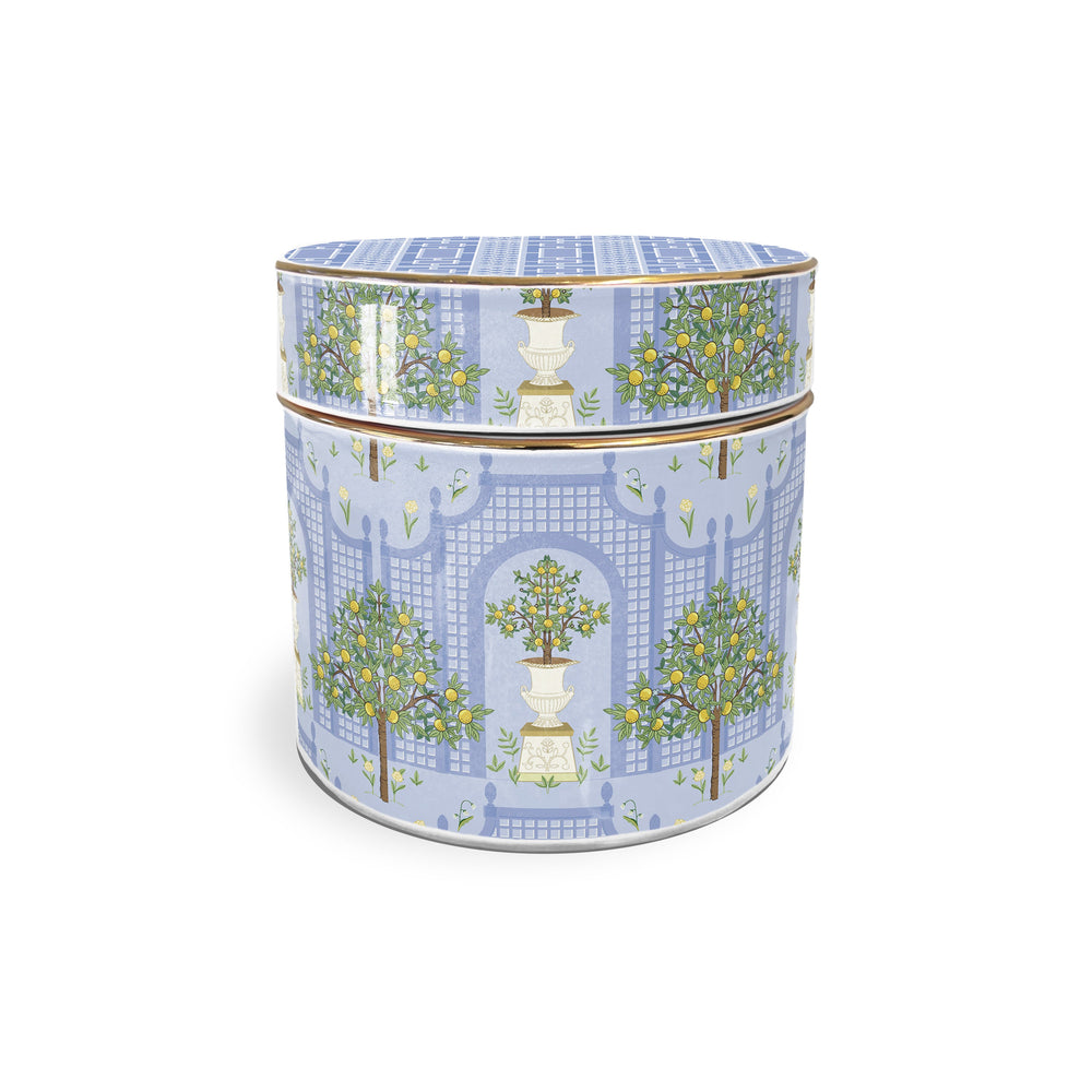 Ceramic Jars - Garden Topiary